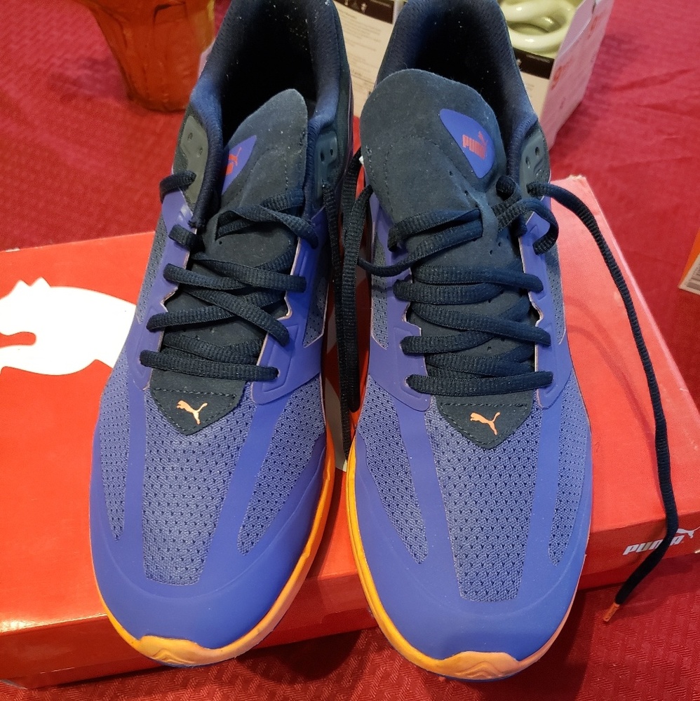 Pair of Pumas